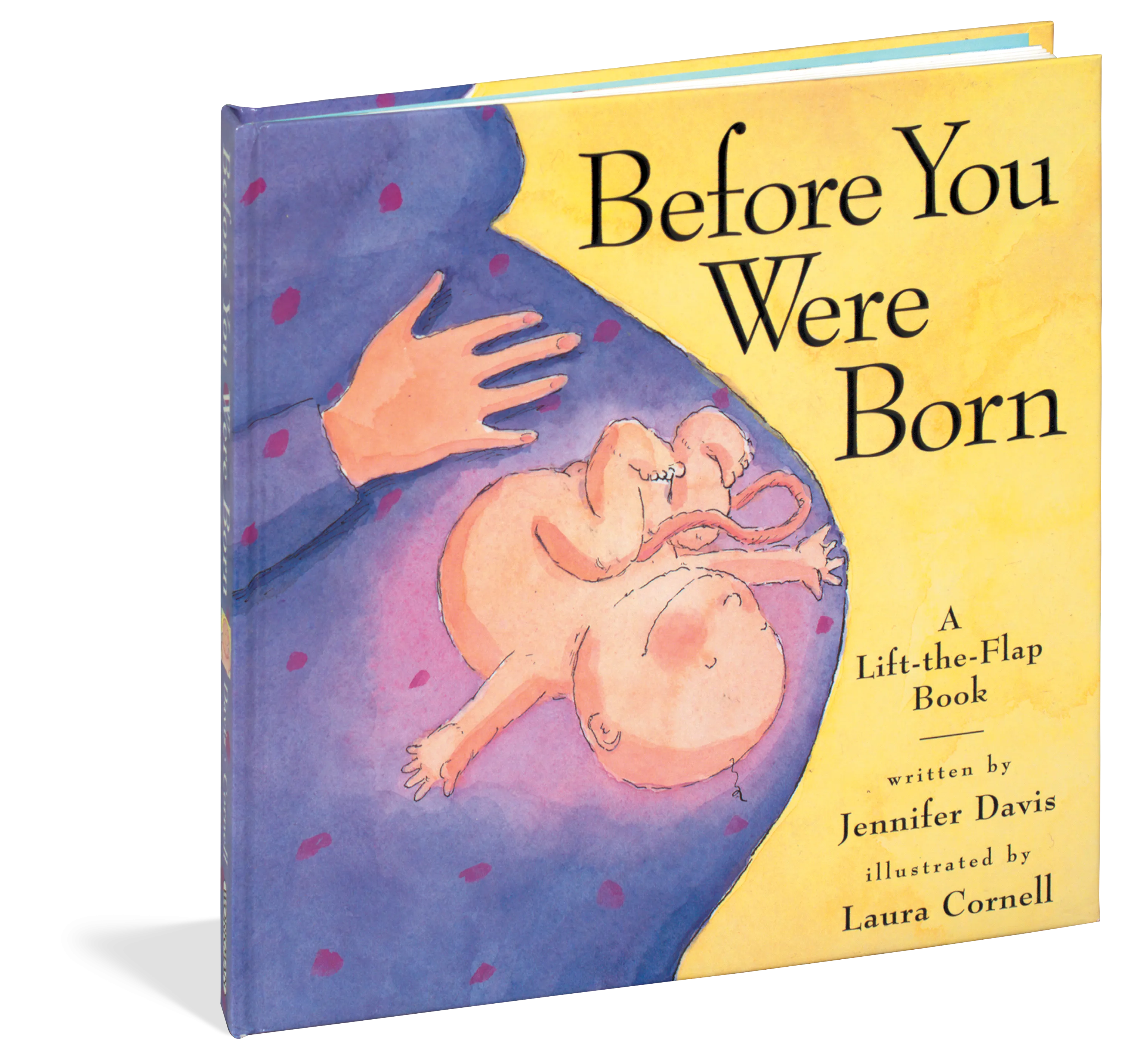 Before You Were Born Lift-the-Flap Book