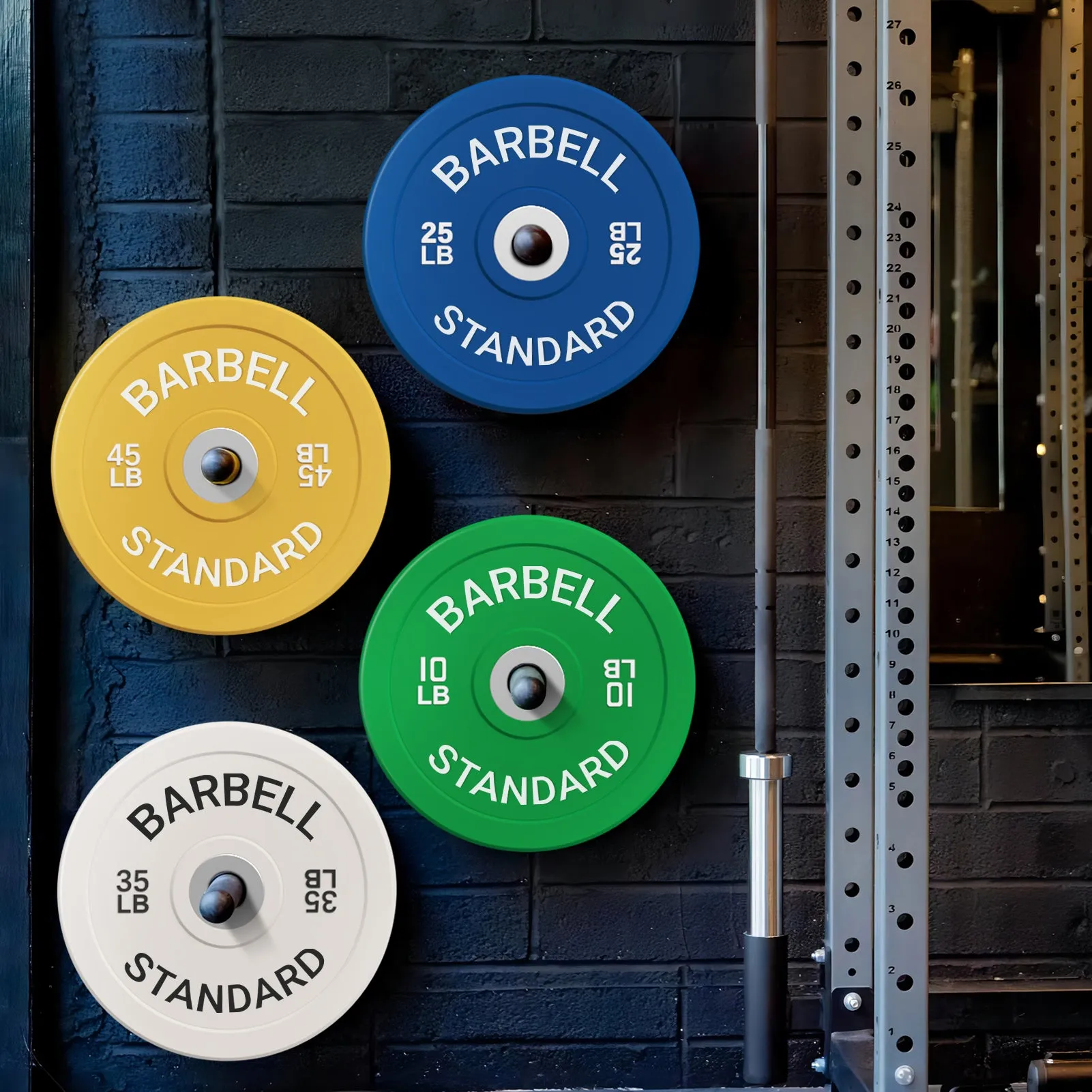 Color Bumper Plates