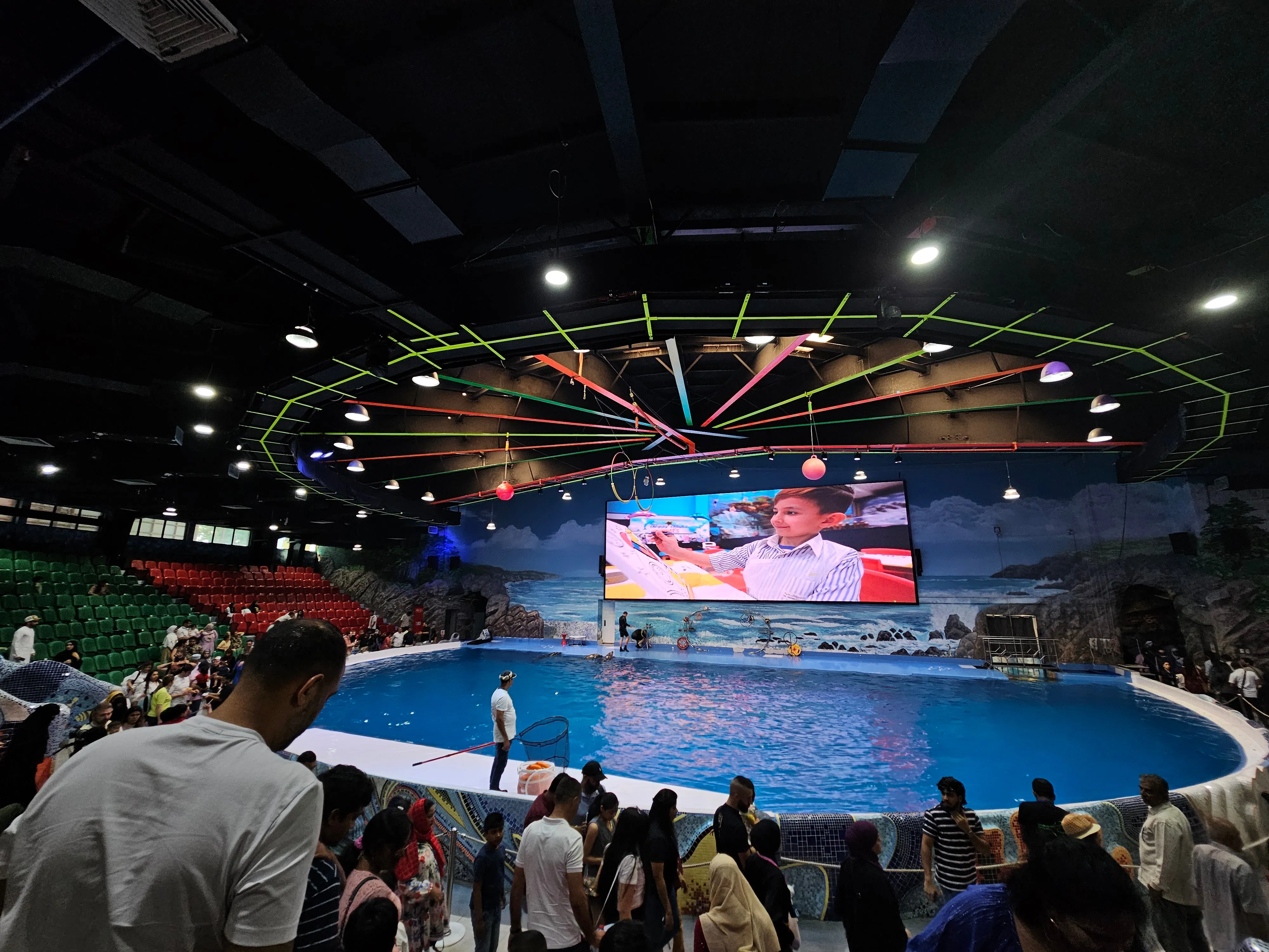 Dubai Dolphinarium Swim with Dolphins