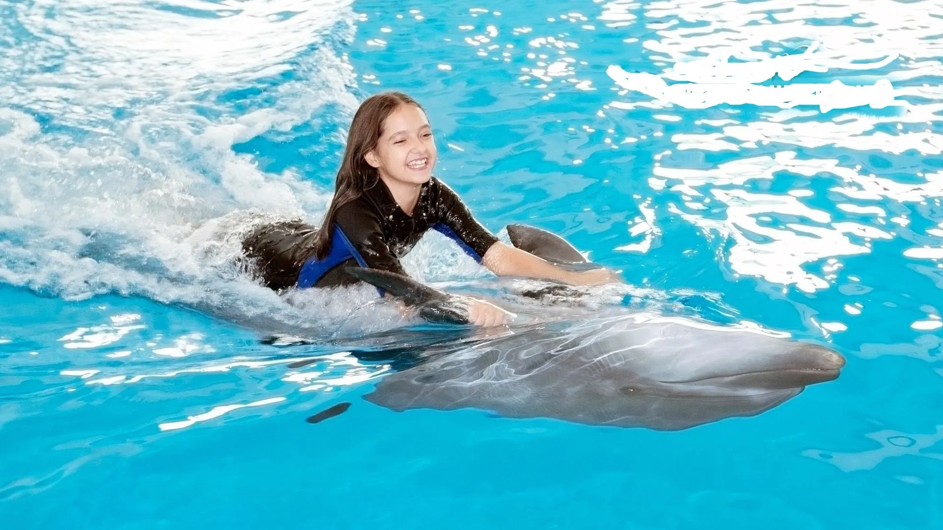 Dubai Dolphinarium Swim with Dolphins