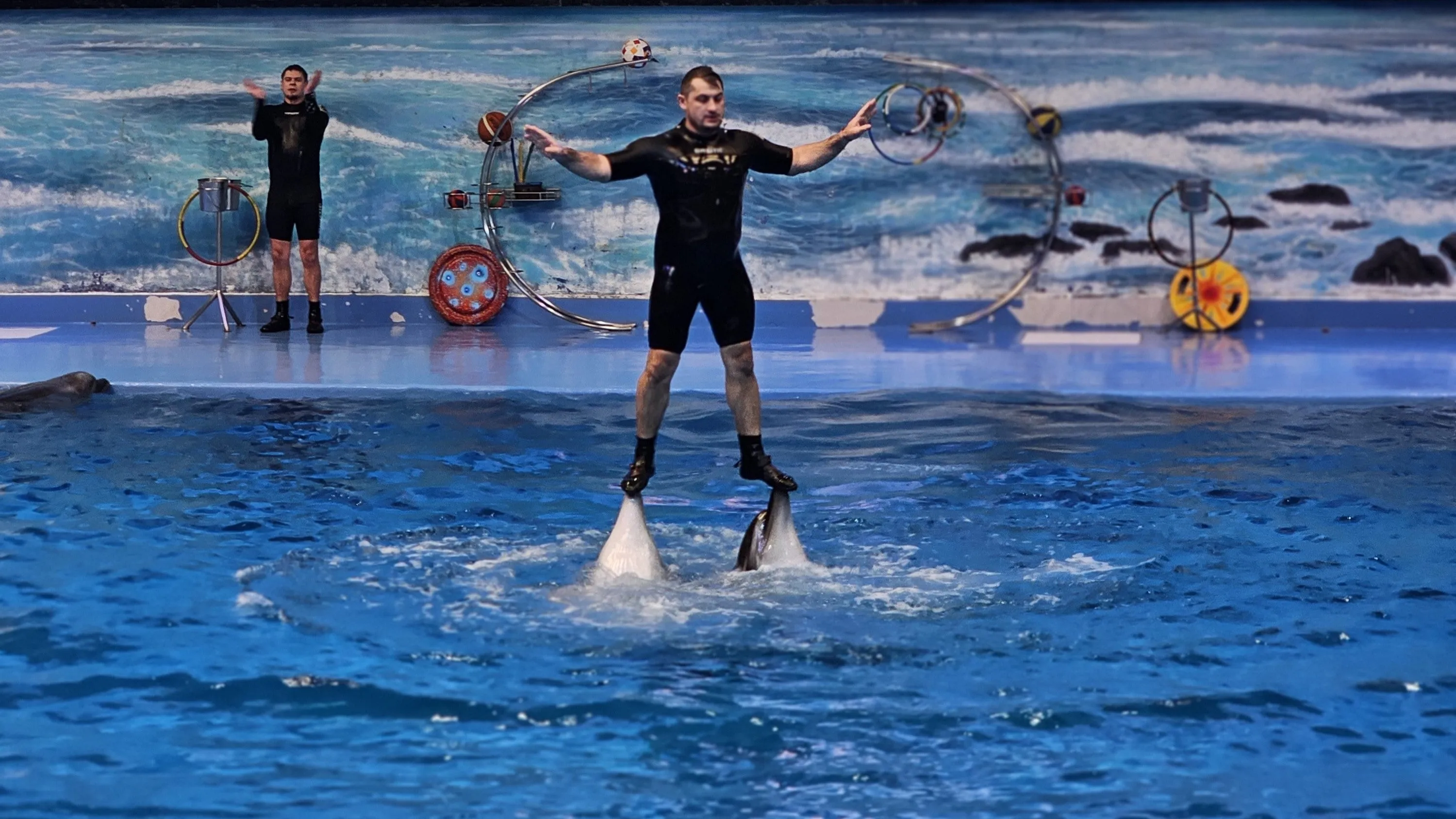 Dubai Dolphinarium Swim with Dolphins