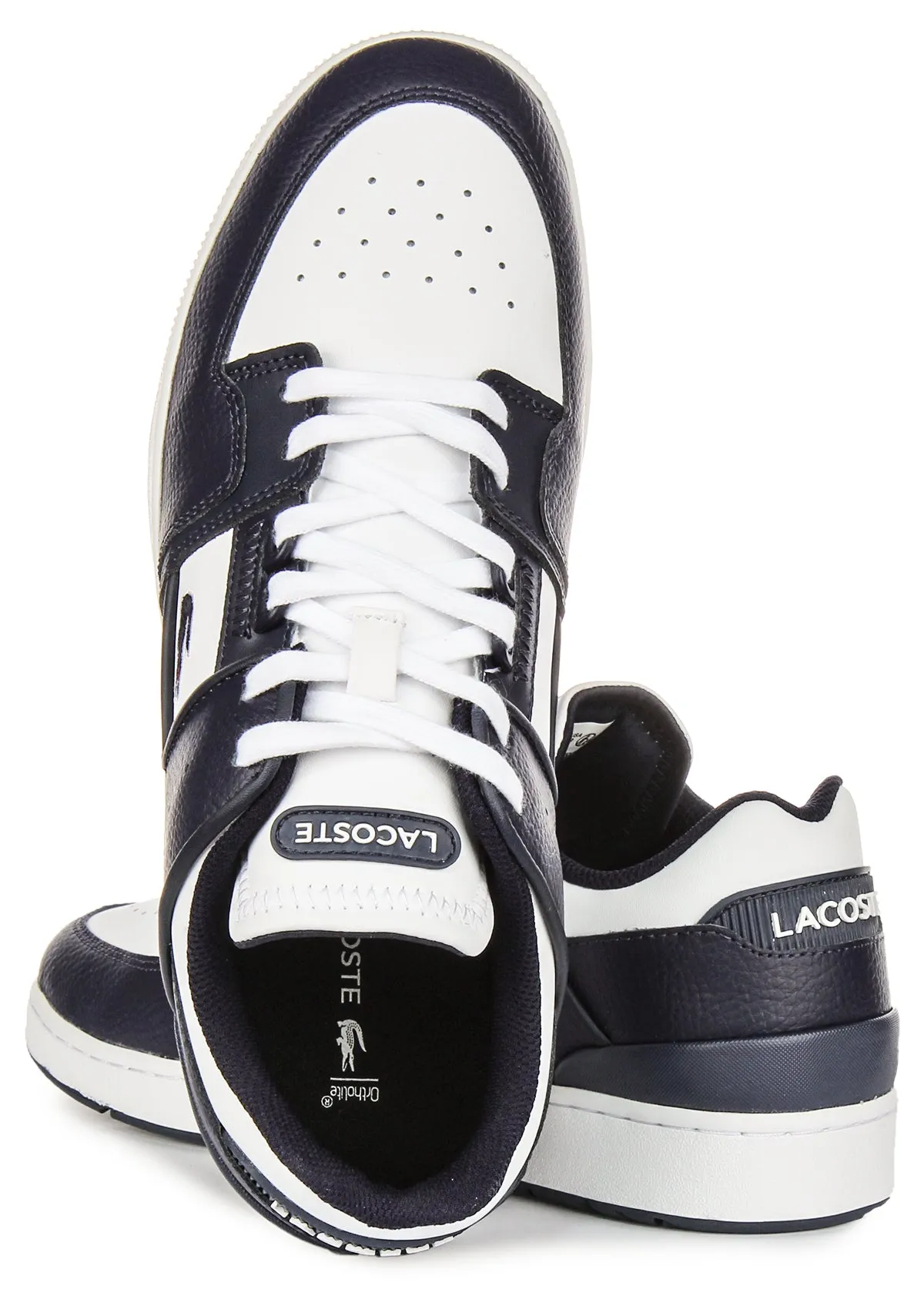 Lacoste Court Cage In Navy White For Men