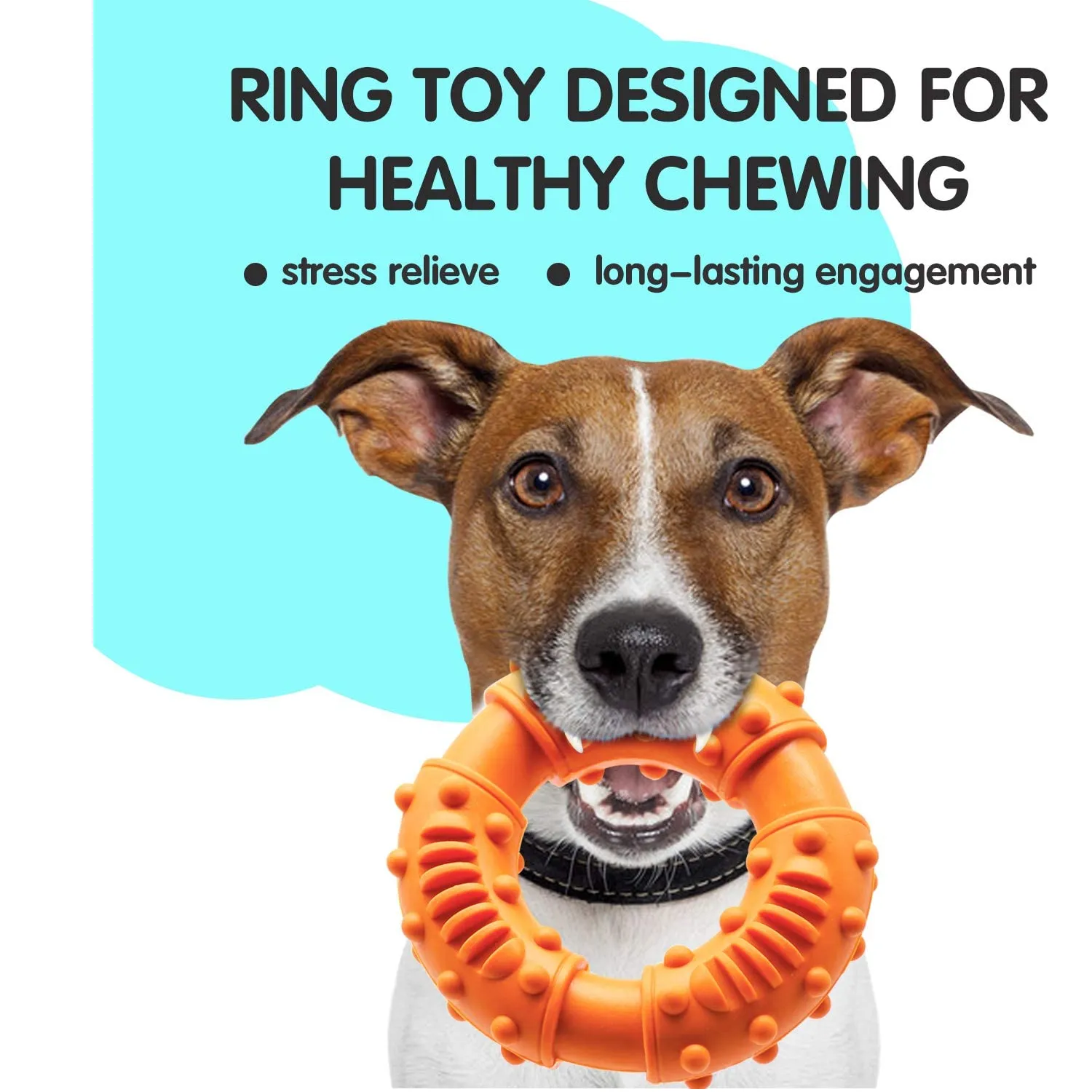 LEGEND SANDY Teething Puppy Chew Toys Pack of 14 Toys