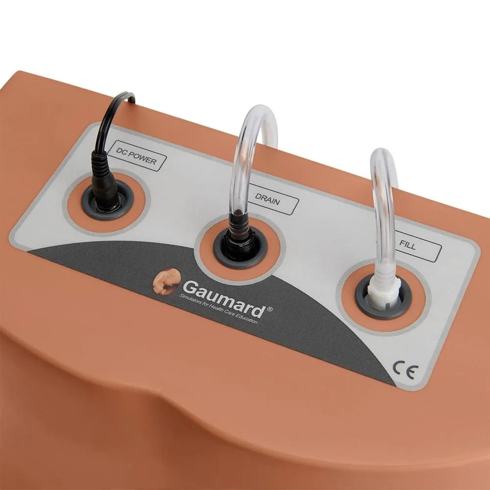 Lumbar Puncture Trainer, Light