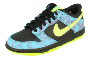 Nike Dunk Low Se 2 GS Trainers Dv1694 900