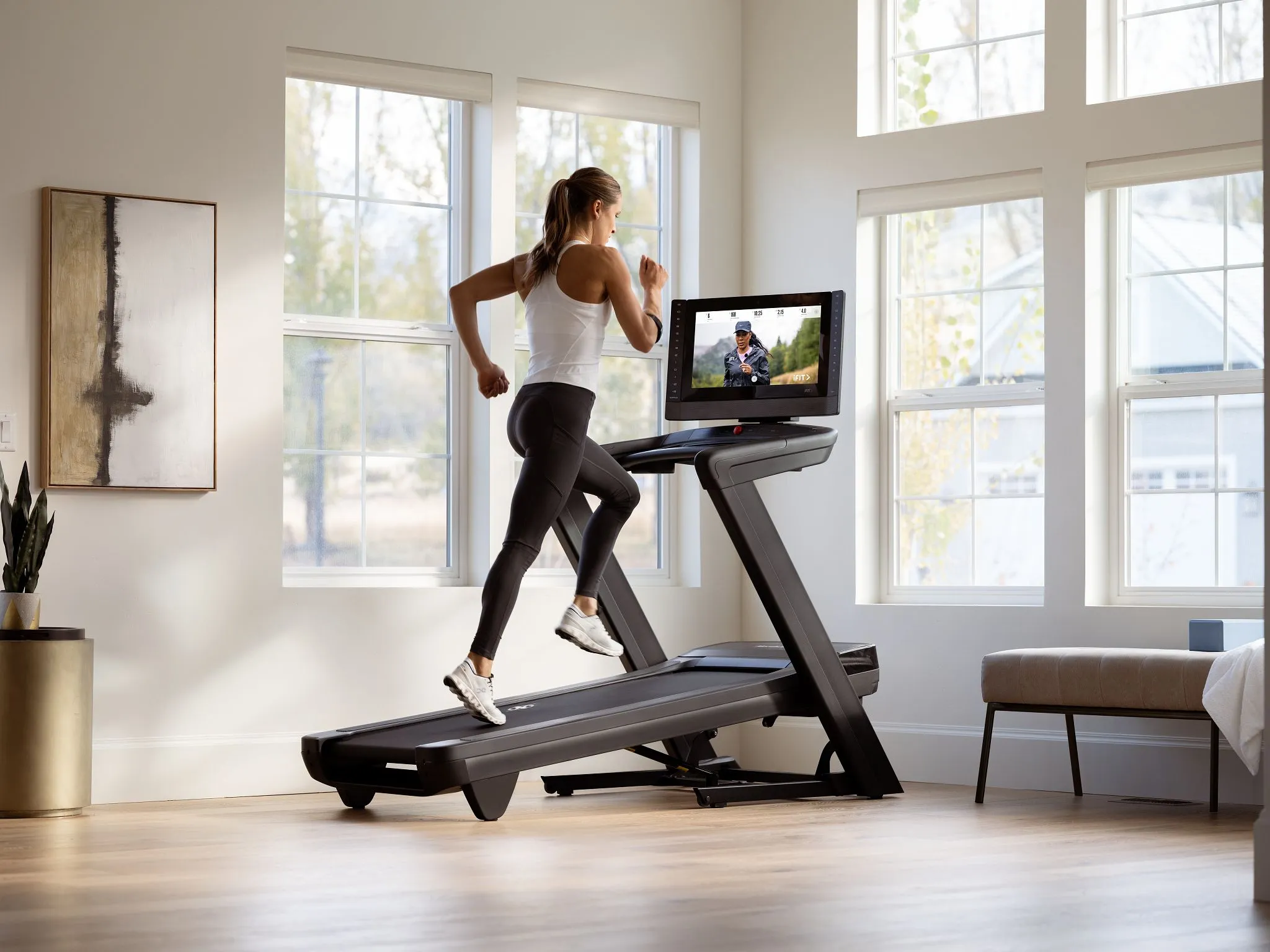 NordicTrack® Commercial 2450 Treadmill