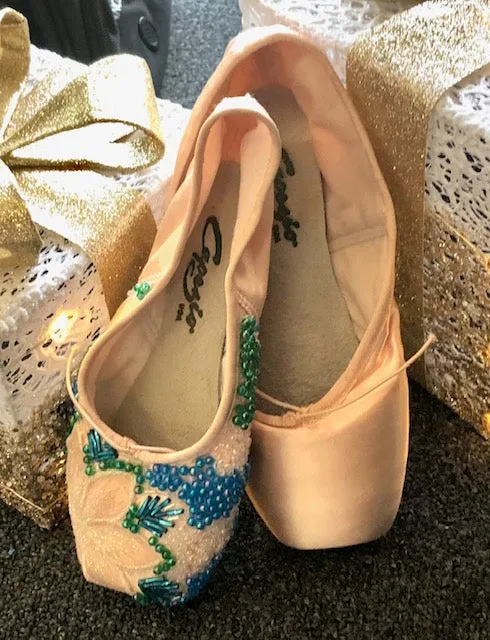 Pointe shoes for decorating