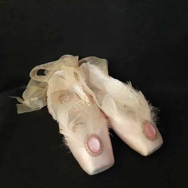 Pointe shoes for decorating