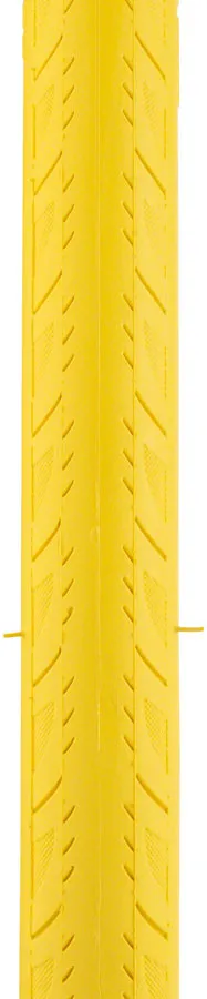 Saris Trainer Tire