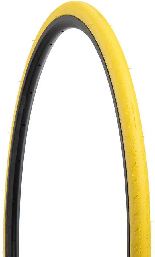 Saris Trainer Tire